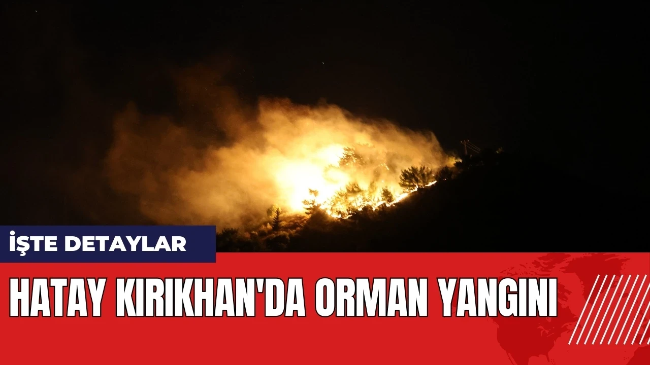 Hatay Kırıkhan'da orman yangını!