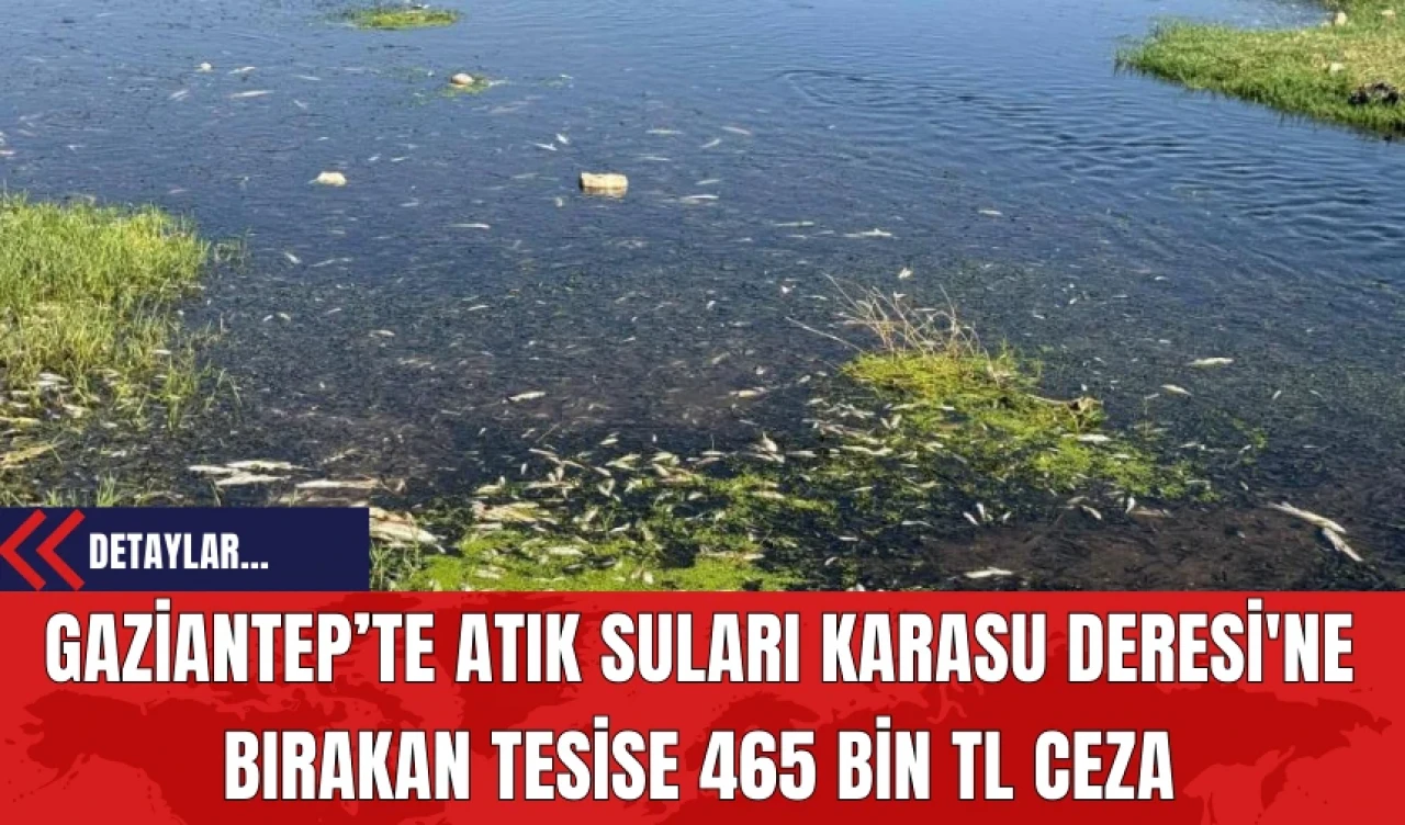 Gaziantep’te Atık Suları Karasu Deresi'ne Bırakan Tesise 465 Bin TL Ceza