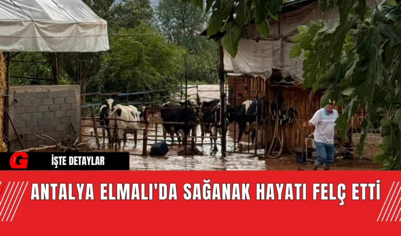 Antalya Elmalı'da Sağanak Hayatı Felç Etti