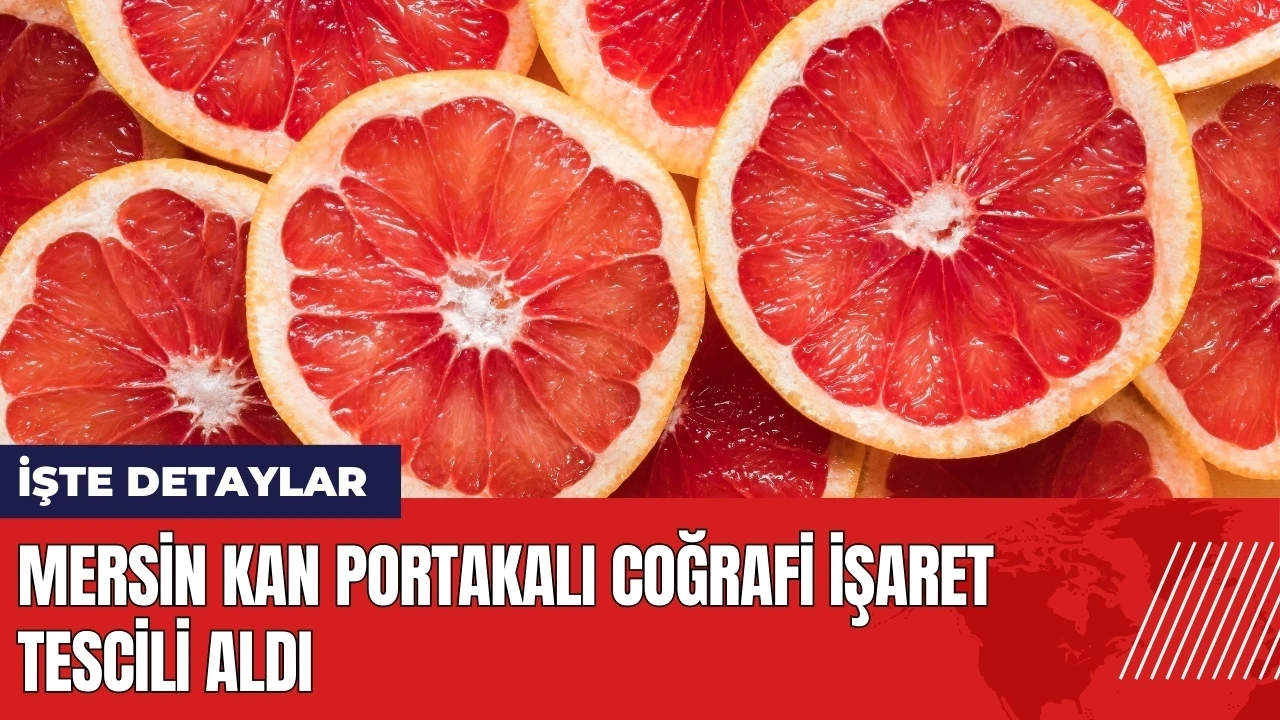 Mersin Kan Portakalı için Coğrafi İşaret Tescili alındı