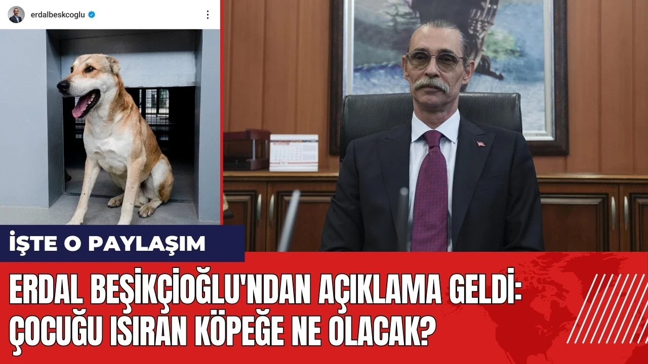 Erdal Beşikçioğlu'ndan açıklama geldi: Çocuğu ısıran köpeğe ne olacak?