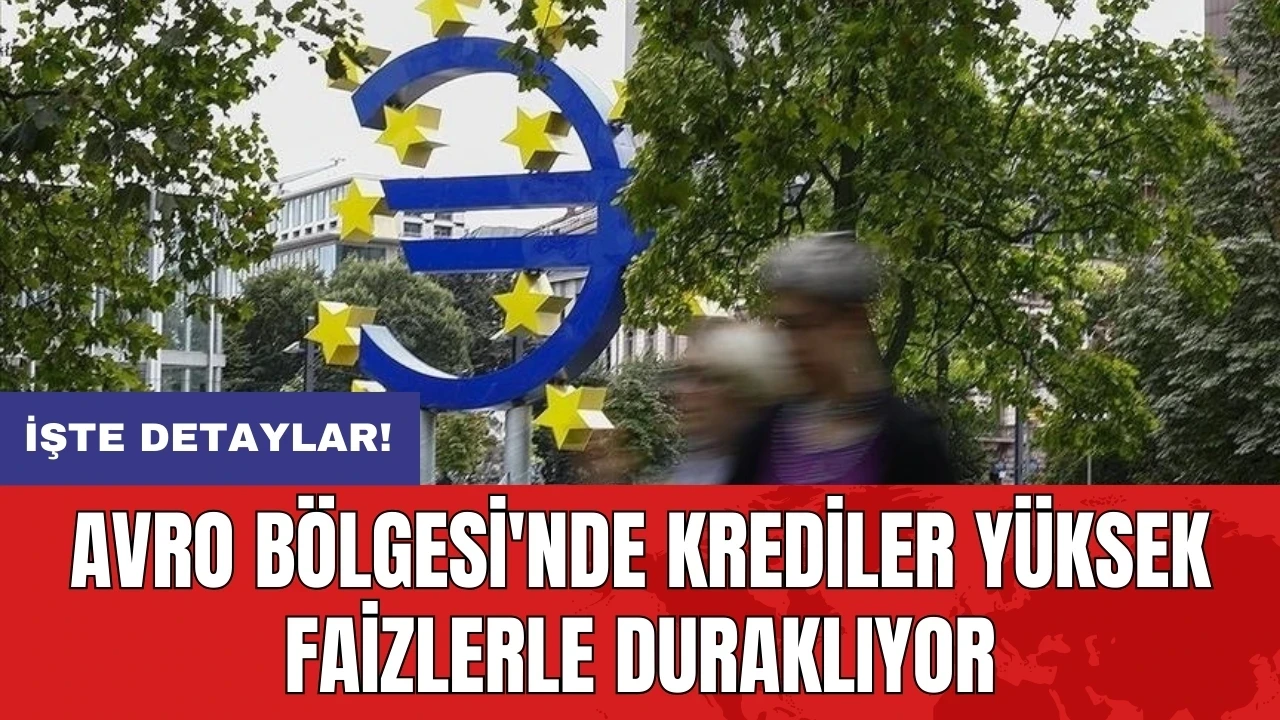 Avro Bölgesi'nde krediler yüksek faizlerle duraklıyor