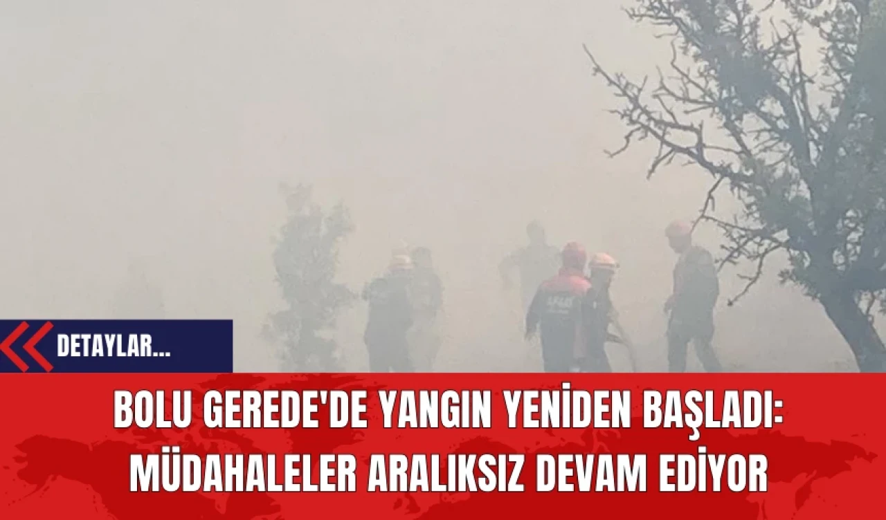 Bolu Gerede'de Yangın Yeniden Başladı: Müdahaleler Aralıksız Devam Ediyor