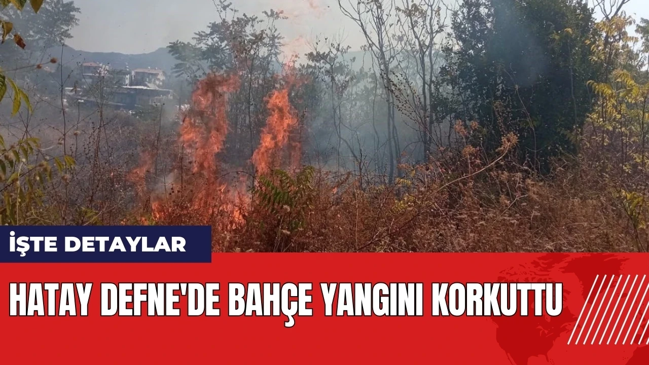 Hatay Defne'de bahçe yangını korkuttu