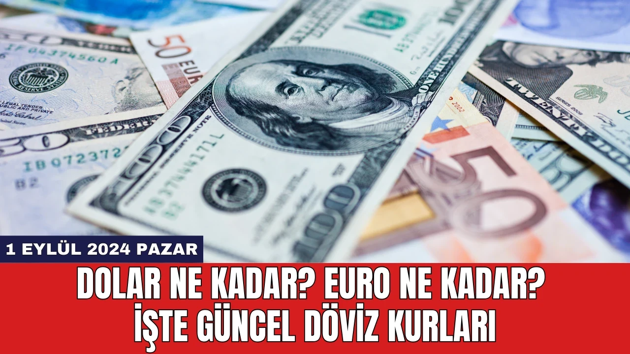 Dolar Ne Kadar? Euro Ne Kadar? İşte Güncel Döviz Kurları 1 Eylül 2024 Pazar