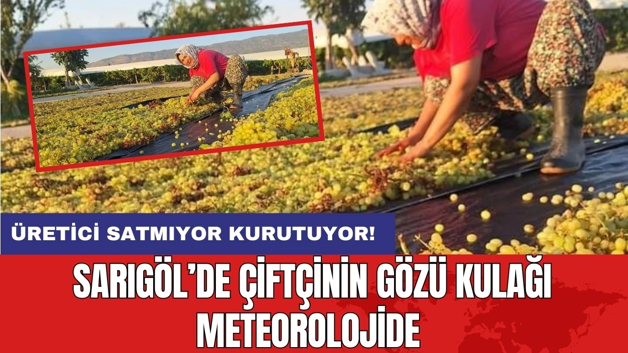 Manisa Sarıgöl'de üreticinin gözü meteorolojide