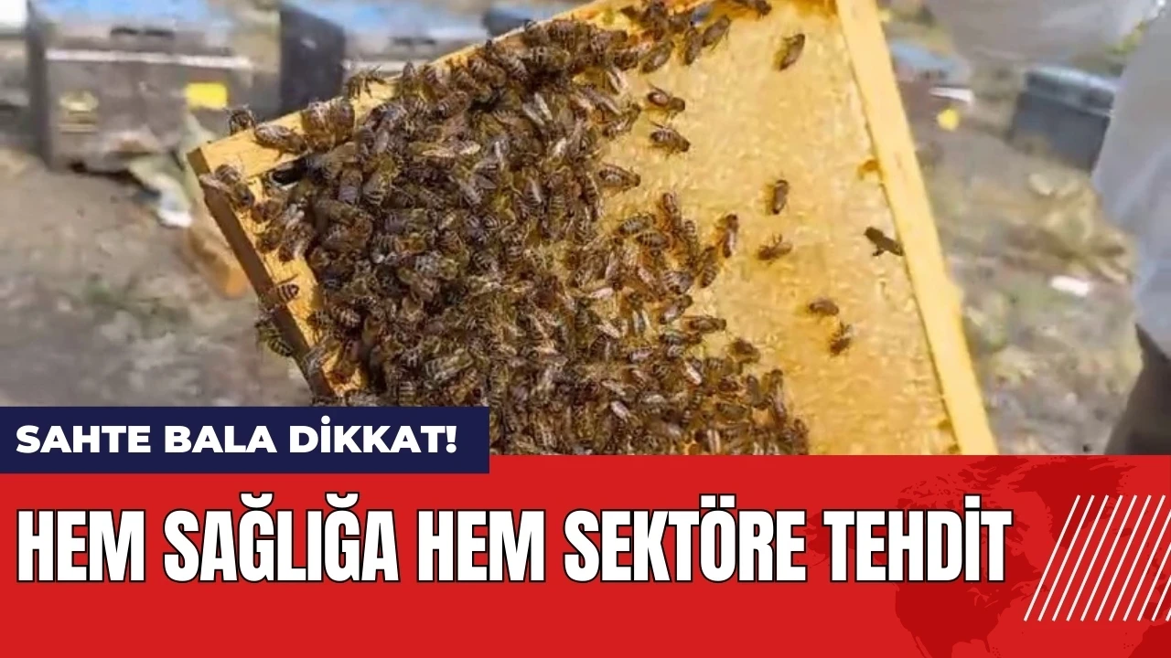 Sahte bala dikkat! Hem sağlığa hem sektöre tehdit