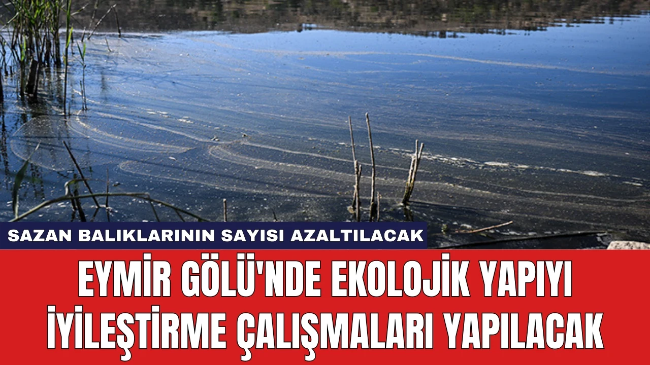 Eymir Gölü'nde Ekolojik Yapıyı İyileştirme Çalışmaları Yapılacak