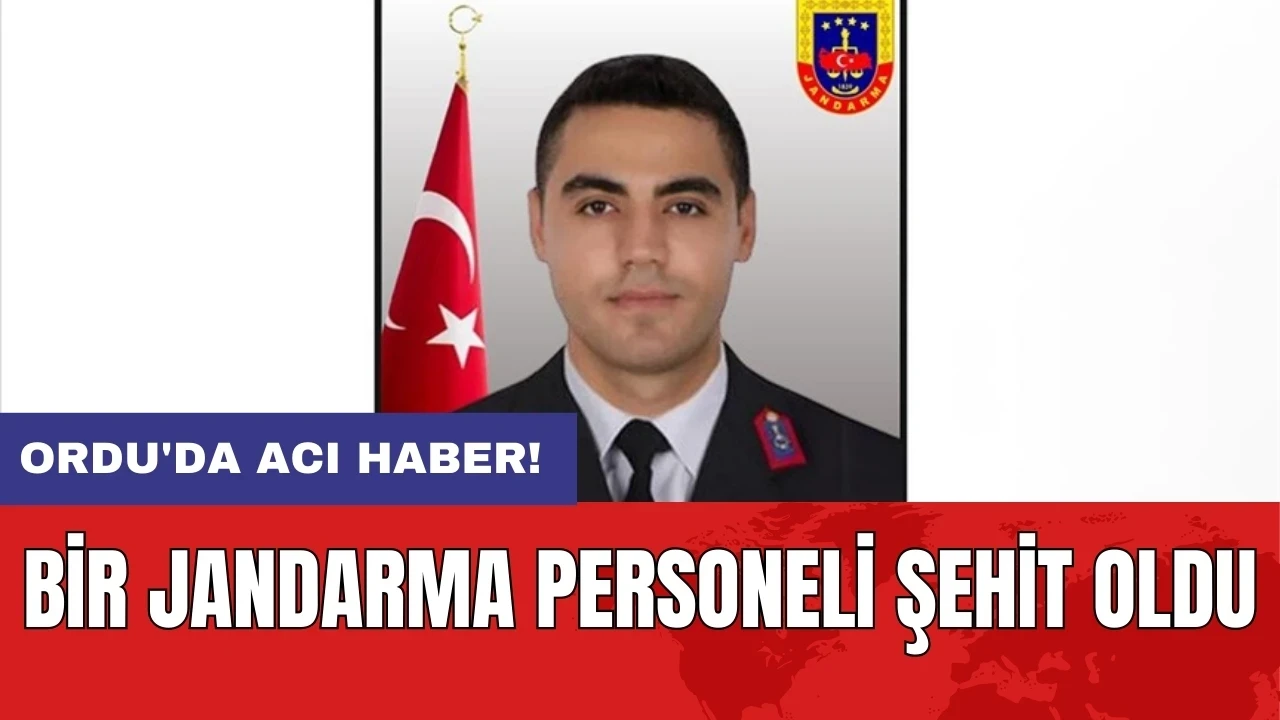 Ordu'da acı haber! Bir jandarma personeli şehit oldu