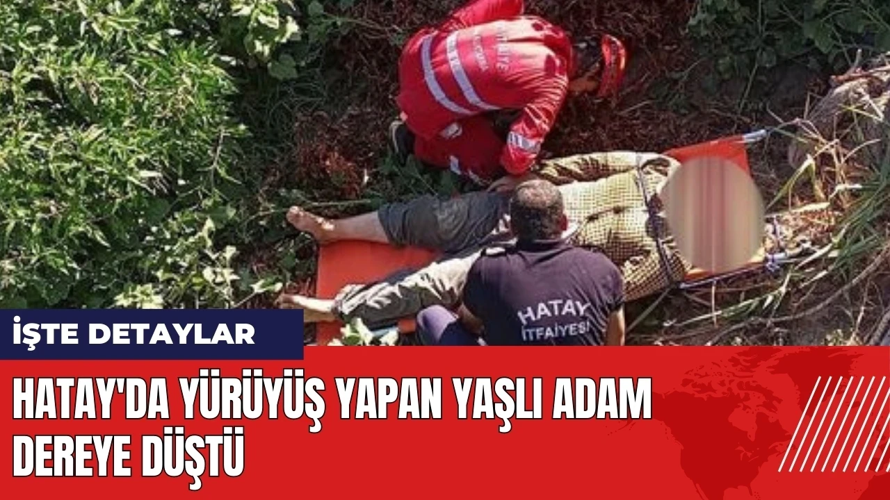 Hatay'da yürüyüş yapan yaşlı adam dereye düştü