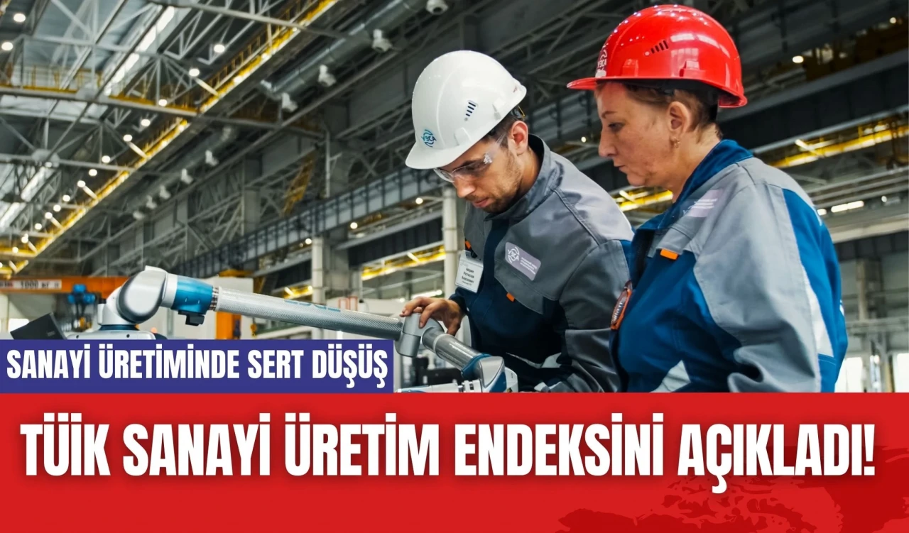 TÜİK Sanayi Üretim Endeksini Açıkladı! Sanayi Üretiminde Sert Düşüş