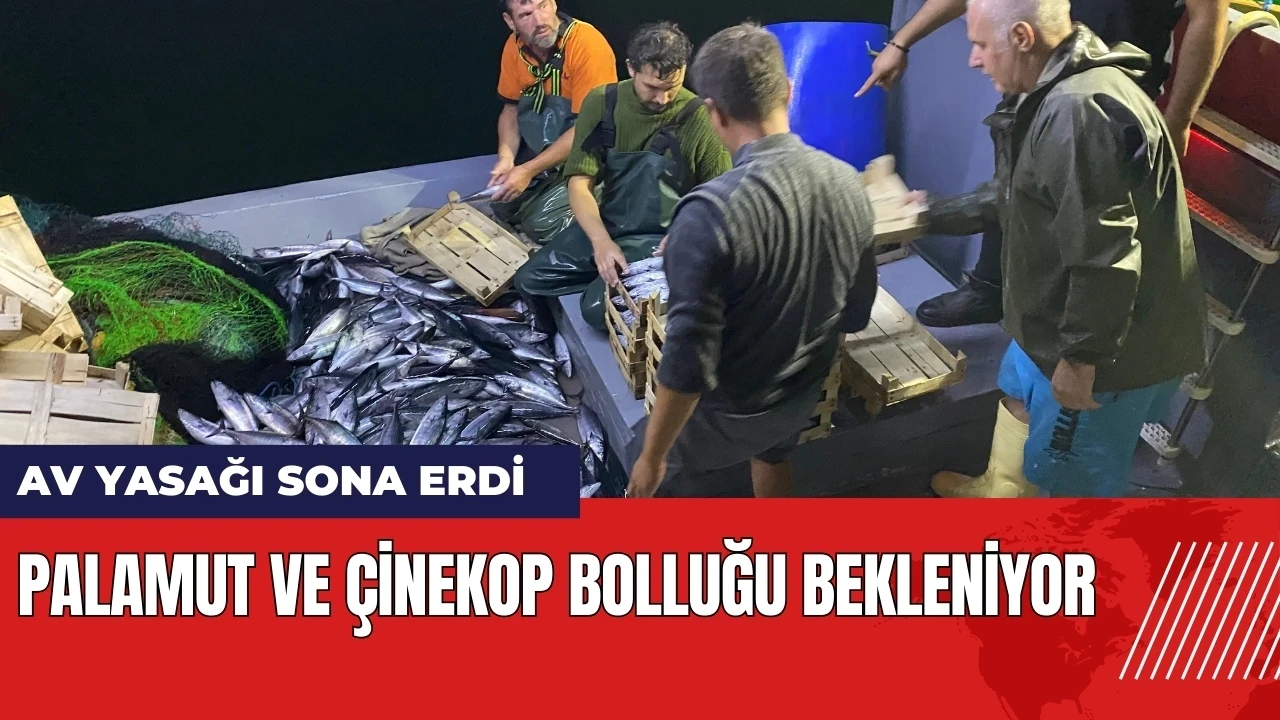 Av yasağı sona erdi! Palamut ve çinekop bolluğu bekleniyor