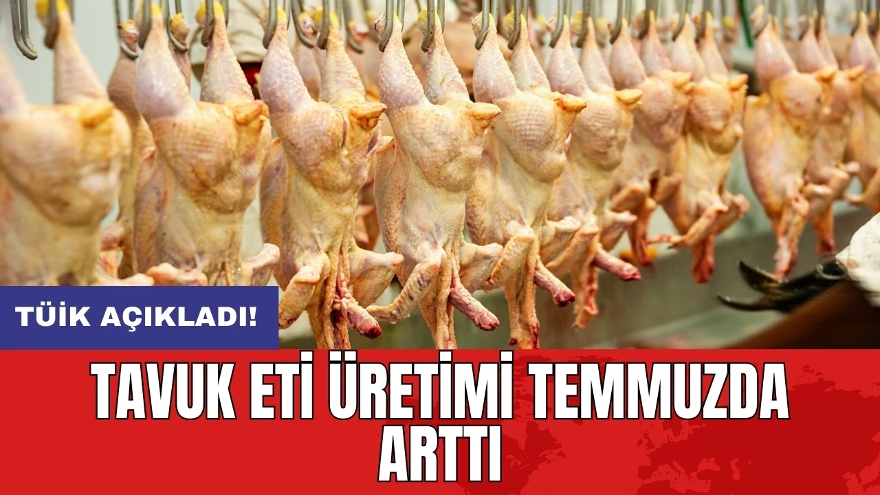 TÜİK açıkladı! Tavuk eti üretimi temmuzda arttı