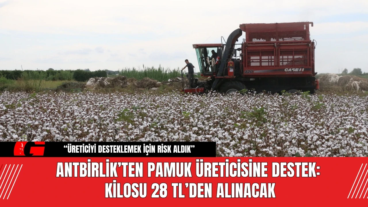 ANTBİRLİK’ten Pamuk Üreticisine Destek: Kilosu 28 TL’den Alınacak