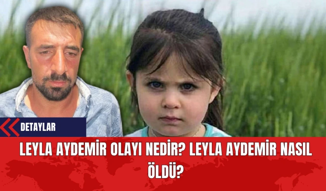 Leyla Aydemir Olayı Nedir? Leyla Aydemir Nasıl Öldü?