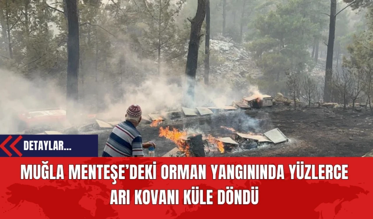 Muğla Menteşe’deki Orman Yangınında Yüzlerce Arı Kovanı Küle Döndü