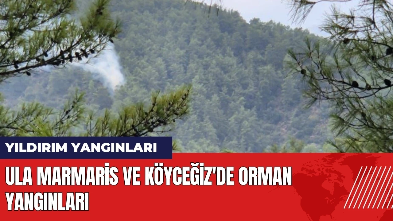 Ula Marmaris ve Köyceğiz'de orman yangınları