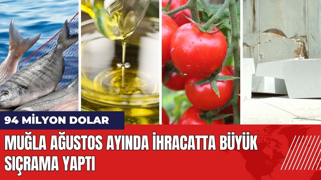 Muğla Ağustos ayında ihracatta büyük sıçrama yaptı: 94 milyon dolar