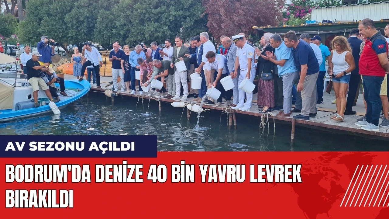 Bodrum'da denize 40 bin yavru levrek bırakıldı