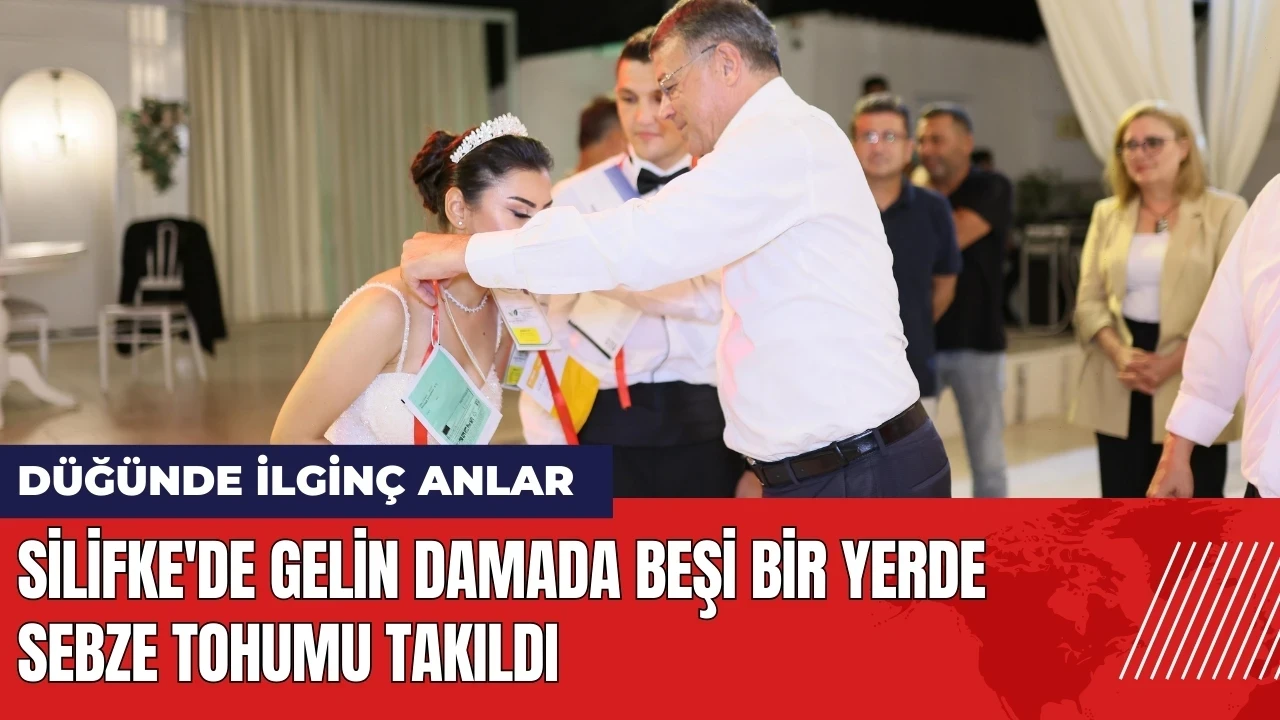 Silifke'de gelin damada beşi bir yerde sebze tohumu takıldı