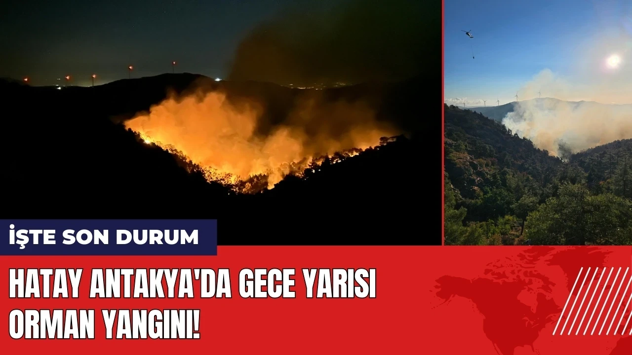 Hatay Antakya'da gece yarısı orman yangını! İşte son durum