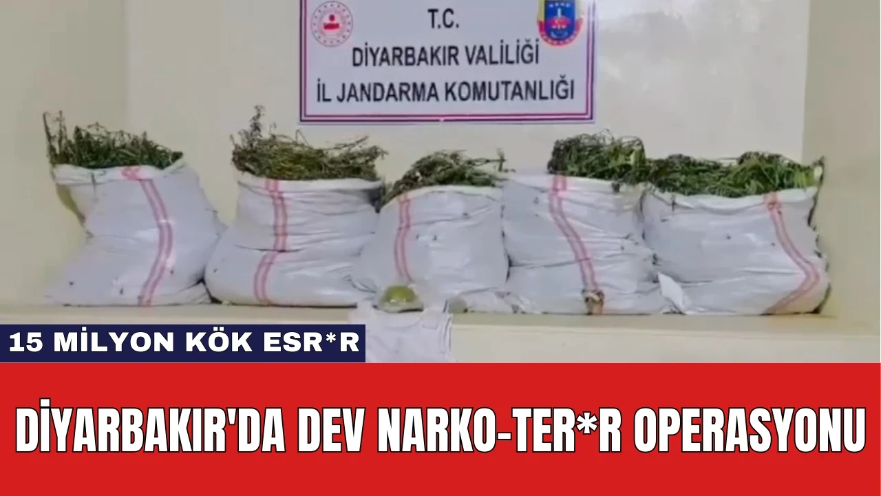 Diyarbakır'da Dev Narko-Ter*r Operasyonu: 15 Milyon Kök Esr*r