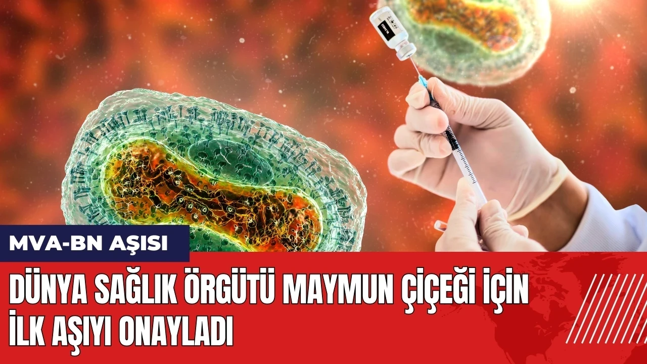 Dünya Sağlık Örgütü Maymun Çiçeği için ilk aşıyı onayladı