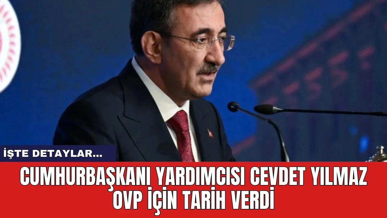 Cumhurbaşkanı Yardımcısı Cevdet Yılmaz OVP için tarih verdi