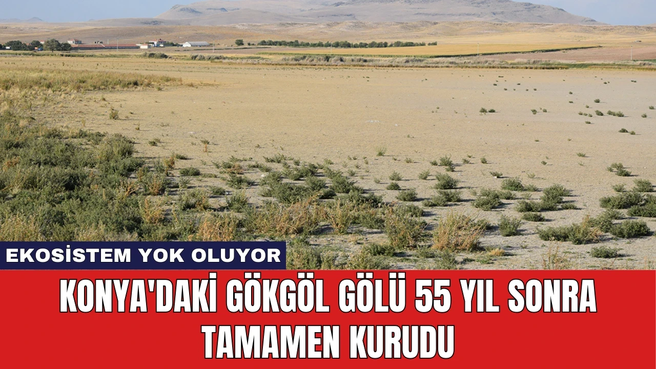 Konya'daki Gökgöl Gölü 55 Yıl Sonra Tamamen Kurudu