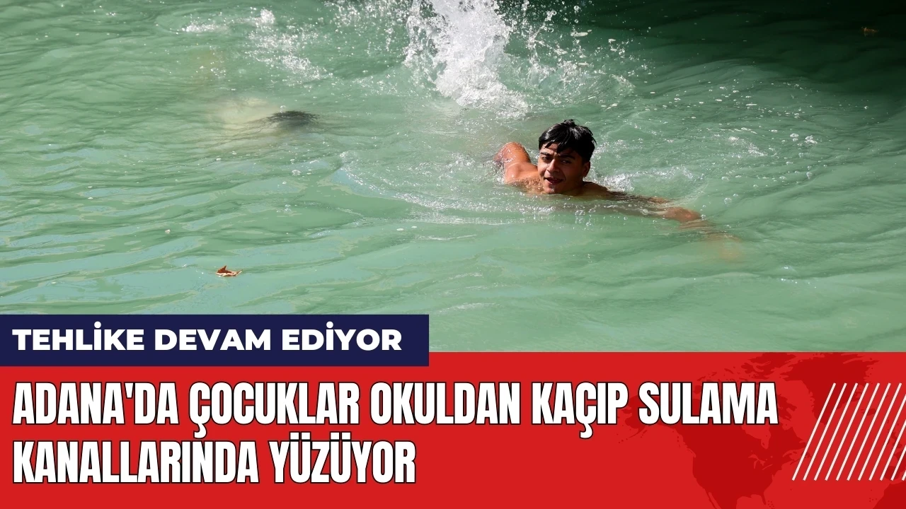 Adana'da çocuklar okuldan kaçıp sulama kanallarında yüzüyor