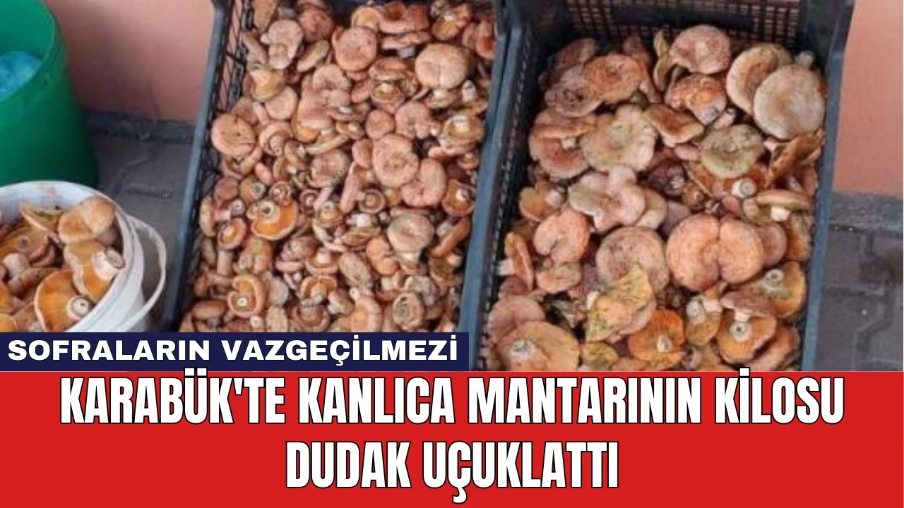 Karabük'te Kanlıca Mantarının Kilosu Dudak Uçuklattı