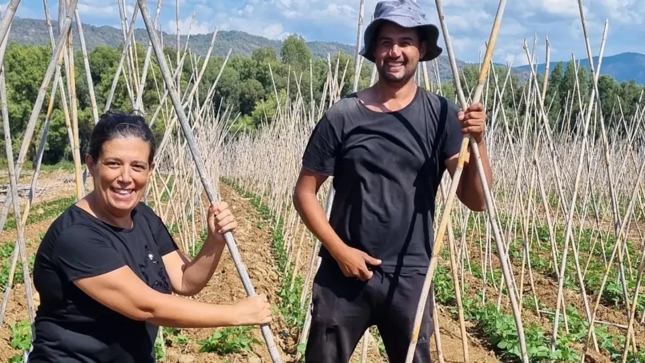 Fethiye'de baklagil desteği! Güz ekilişi tohumları kontrol edildi