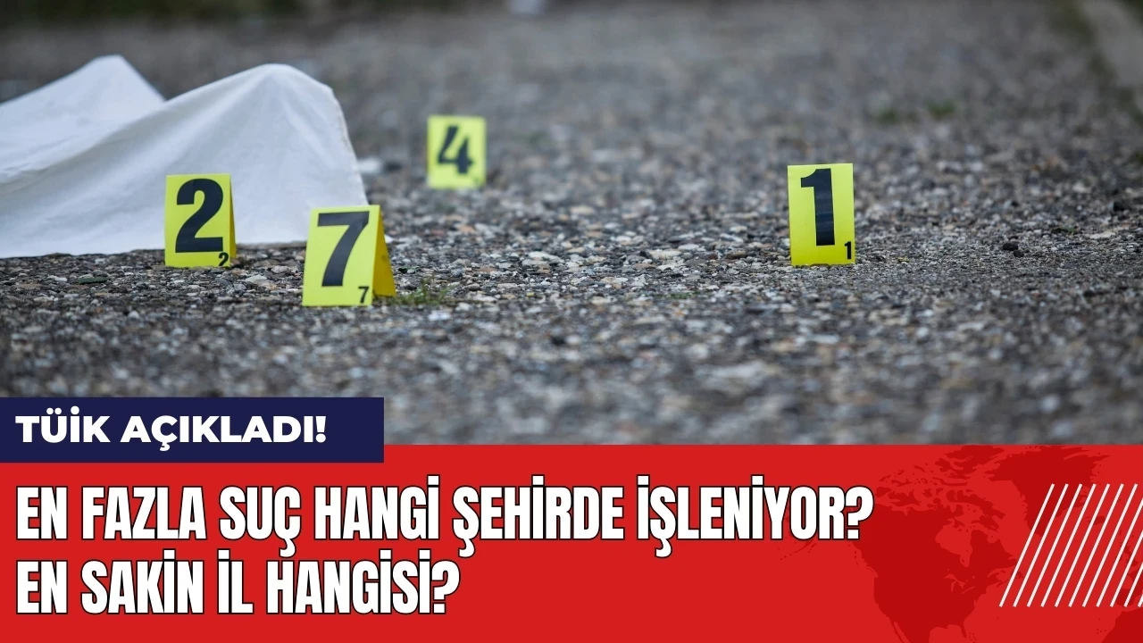 TÜİK açıkladı! En fazla suç hangi şehirde işleniyor?