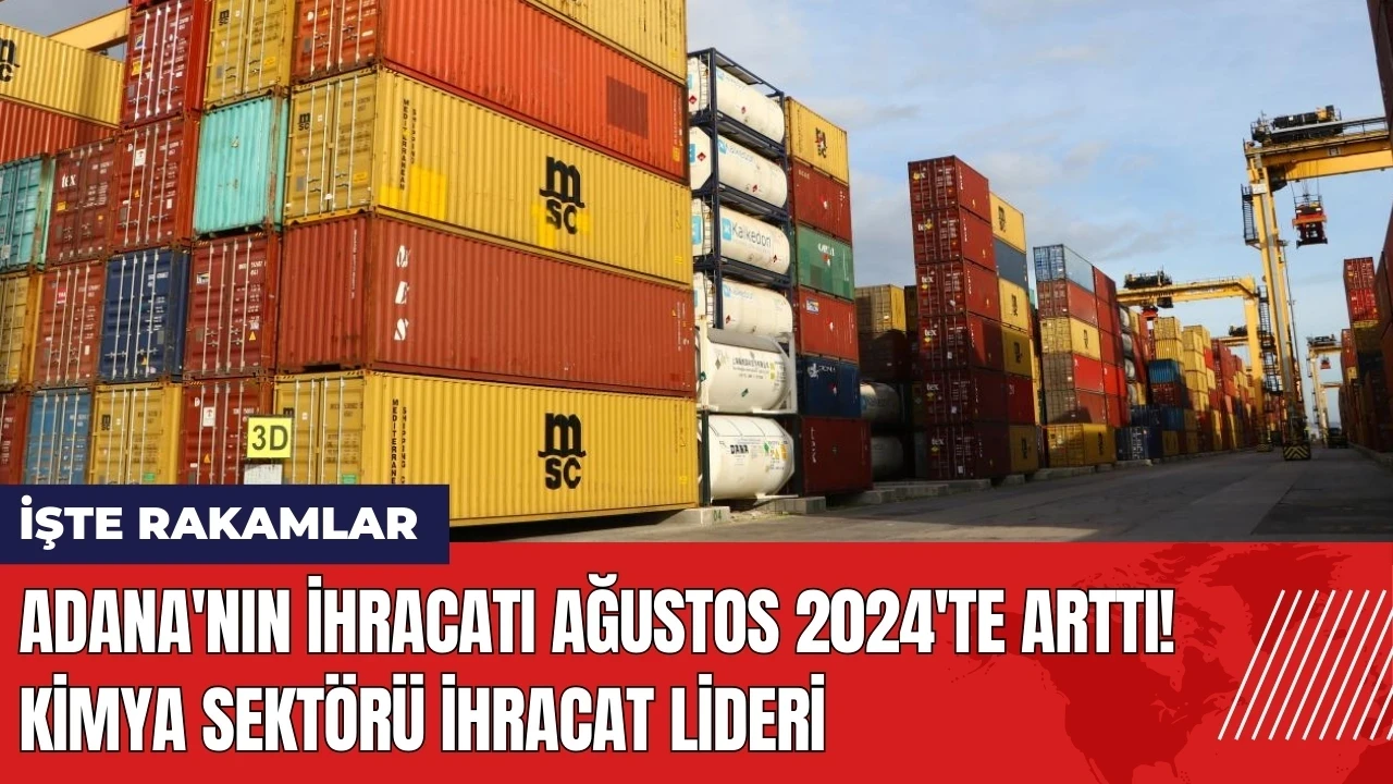 Adana'nın ihracatı Ağustos 2024'te arttı! Kimya sektörü ihracat lideri