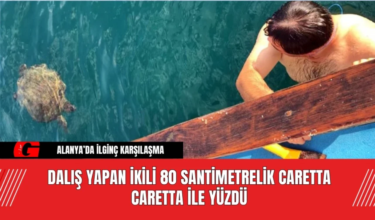 Alanya’da İlginç Karşılaşma: Dalış Yapan İkili 80 Santimetrelik Caretta Caretta ile Yüzdü