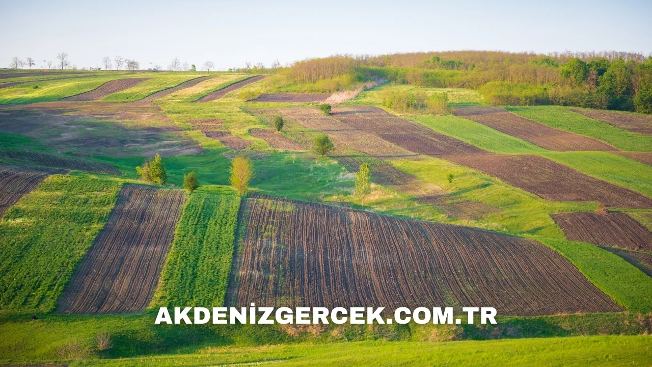 Ankara Gölbaşı'nda mahkemeden satılık arsa