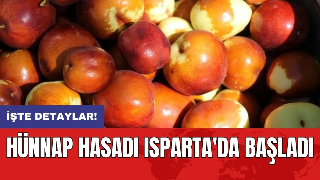 Hünnap hasadı Isparta'da başladı