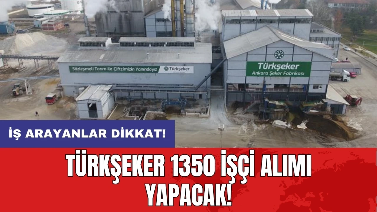 İş arayanlar dikkat: Türkşeker 1350 işçi alımı yapacak!