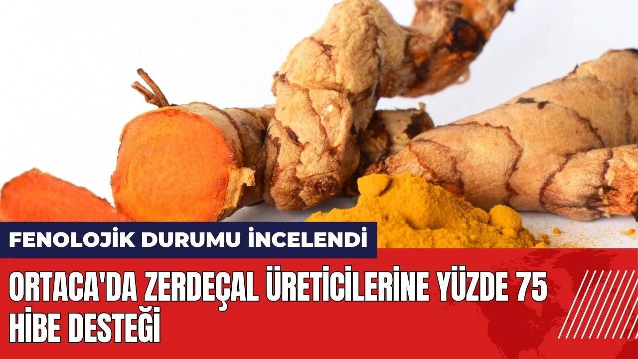 Ortaca'da zerdeçal üreticilerine yüzde 75 hibe desteği