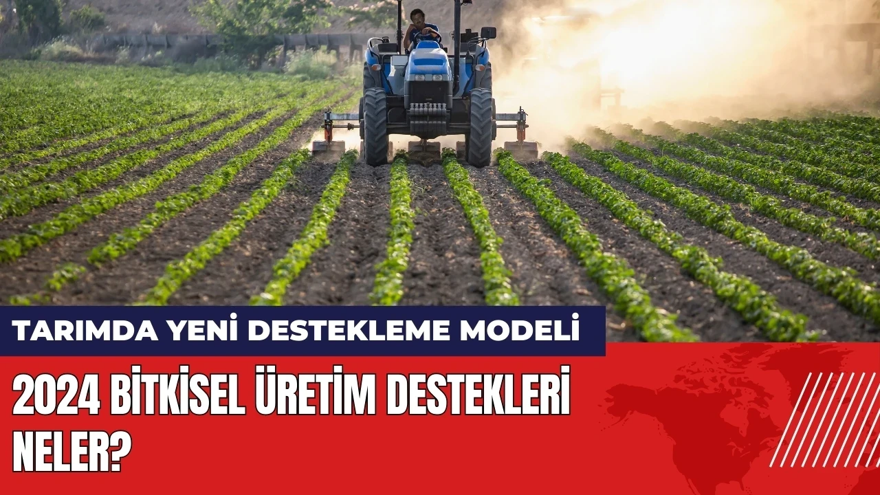 Tarımda yeni destekleme modeli: 2024 Bitkisel Üretim Destekleri neler?