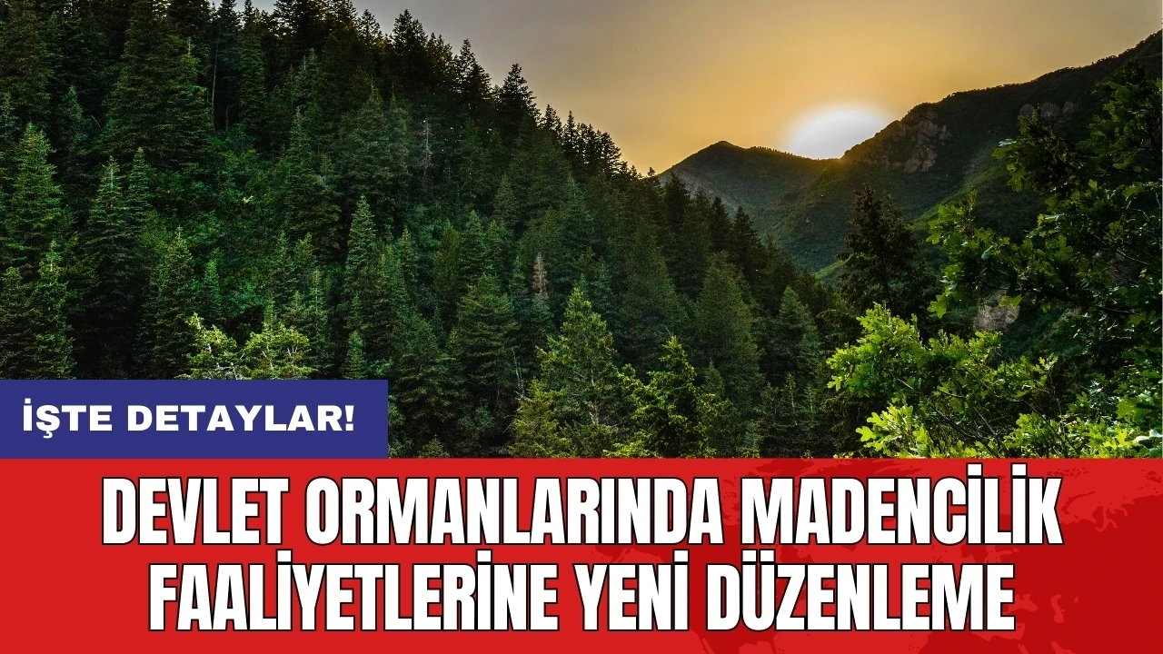 Devlet ormanlarında madencilik faaliyetlerine yeni düzenleme