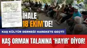 Kaş orman talanına ‘Hayır’ diyor: Kaş Kültür Derneği harekete geçti!