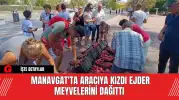 Manavgat'ta Aracıya Kızdı Ejder Meyvelerini Dağıttı