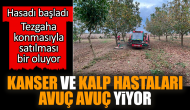 Hasadı başladı kanser ve kalp hastaları avuç avuç yiyor