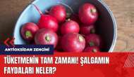 Tüketmenin tam zamanı! Şalgamın faydaları neler?