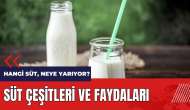 Hangi süt neye yarıyor? Süt çeşitleri ve faydaları