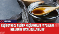 Keçiboynuzu Nedir? Keçiboynuzu Faydaları Nelerdir? Nasıl Kullanılır?