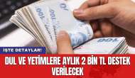 Dul ve yetimlere aylık 2 bin TL destek verilecek