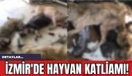 İzmir'de Hayvan Katliamı!