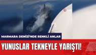 Yunuslar tekneyle yarıştı! Marmara Denizi'nde renkli anlar